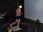 Dynamic Neuromuscular Control of the Lower Limbs in Response to Unexpected Single-Planar versus Multi-Planar Support Perturbations in Young, Active Adults