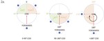 Change of direction frequency off the ball: New perspectives in elite youth soccer